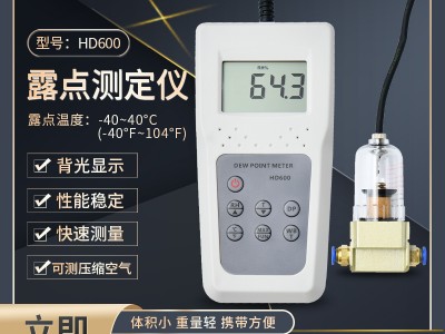 江苏压缩空气露点温湿度表HD600  气体水分仪